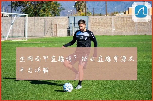 全网西甲直播吗?综合直播资源及平台详解