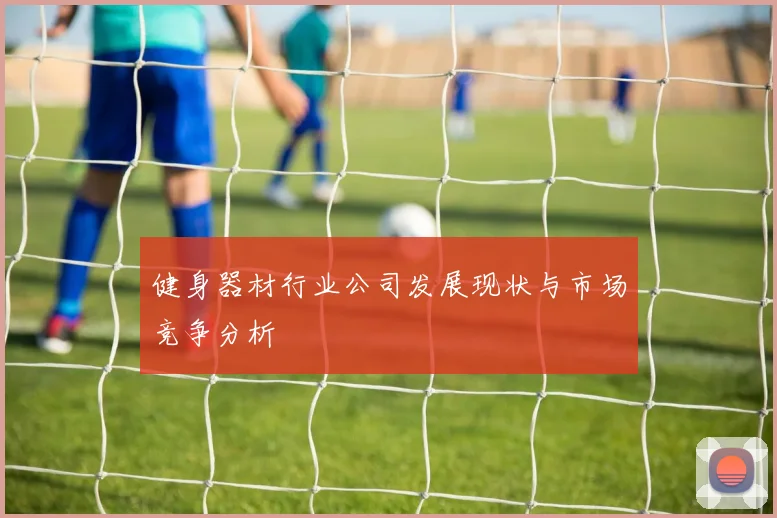 健身器材行业公司发展现状与市场竞争分析